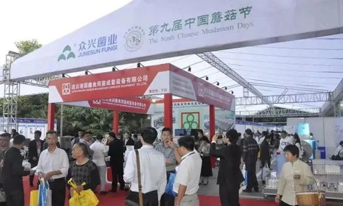 众兴菌业“饮酒”拟收购圣窖，投资者切勿“上头”辉众创兴科技